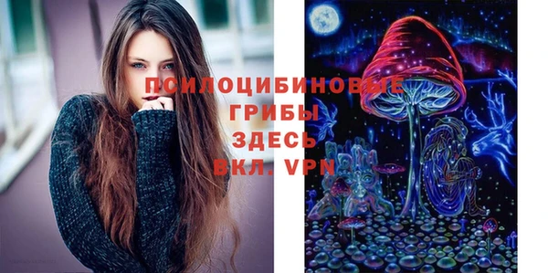 мдма Каменногорск