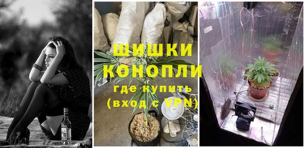 дживик Козельск