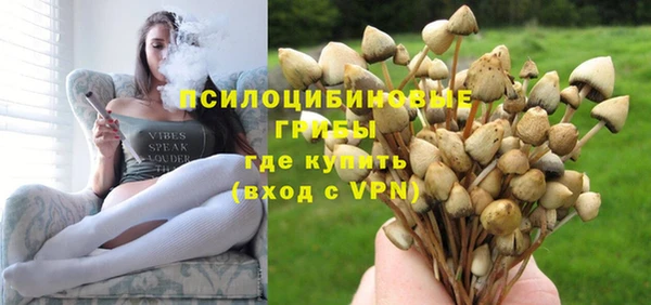 дживик Козельск